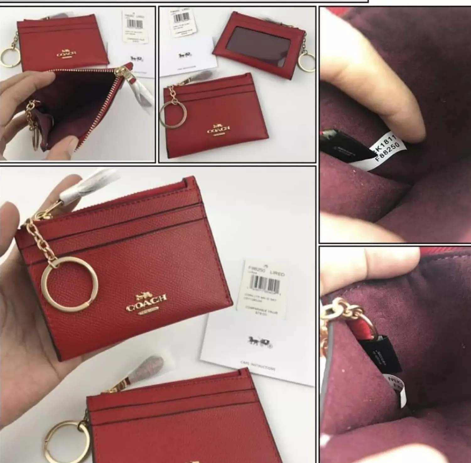Zip Card Case In Signature Canvas hover image