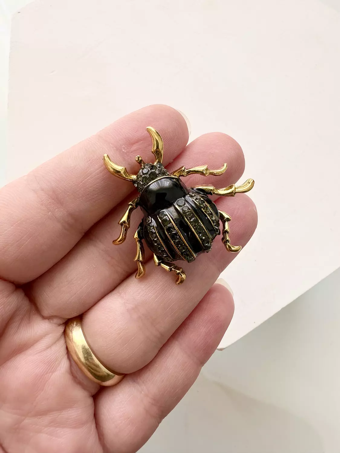 Bug 3 image