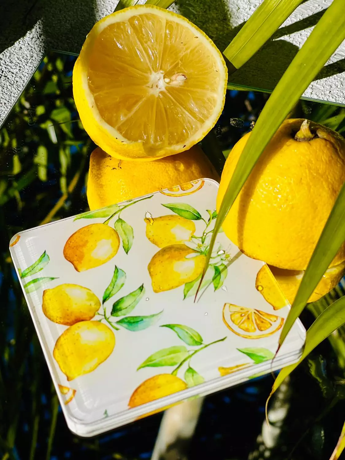 The Lemon Pattern Coaster Set  1