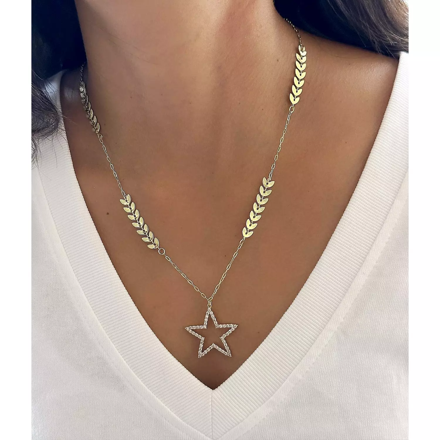 Meet the Star🌟 1