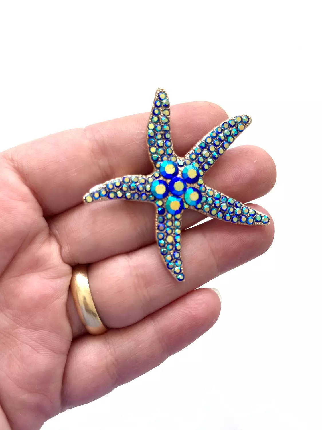 Sea star  image