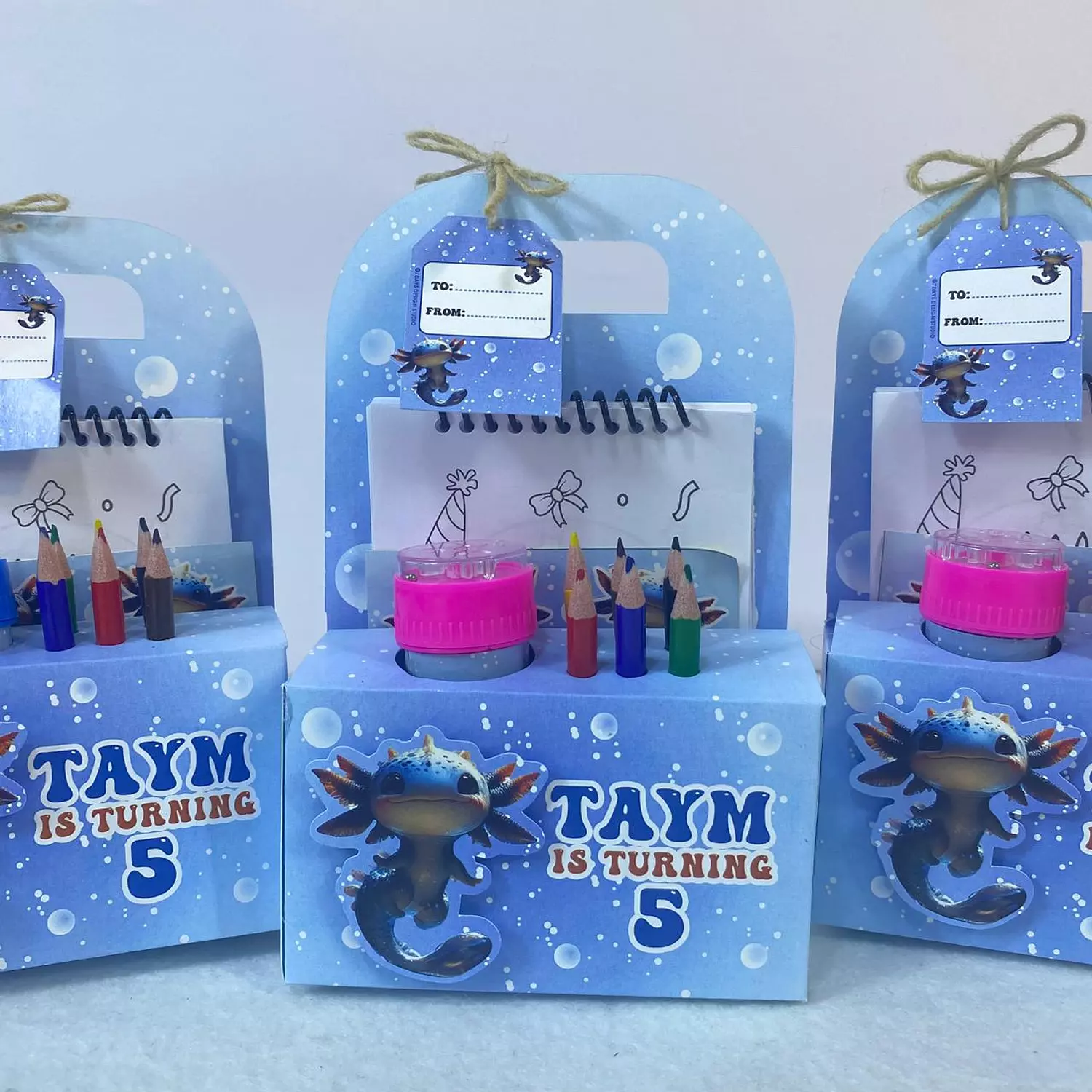 Axolotl Fun Box       image