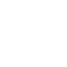 <p style="text-align: start"></p>