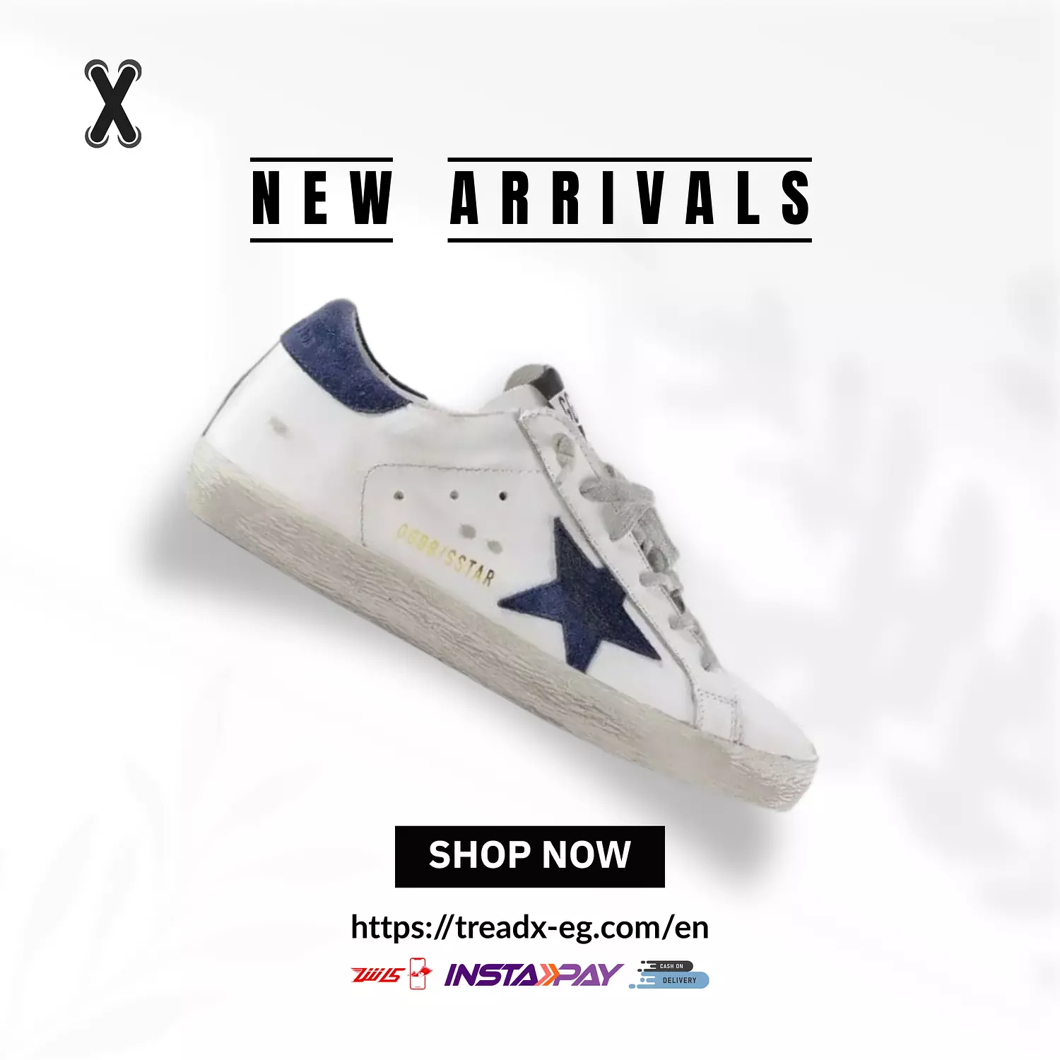 Golden goose blue image
