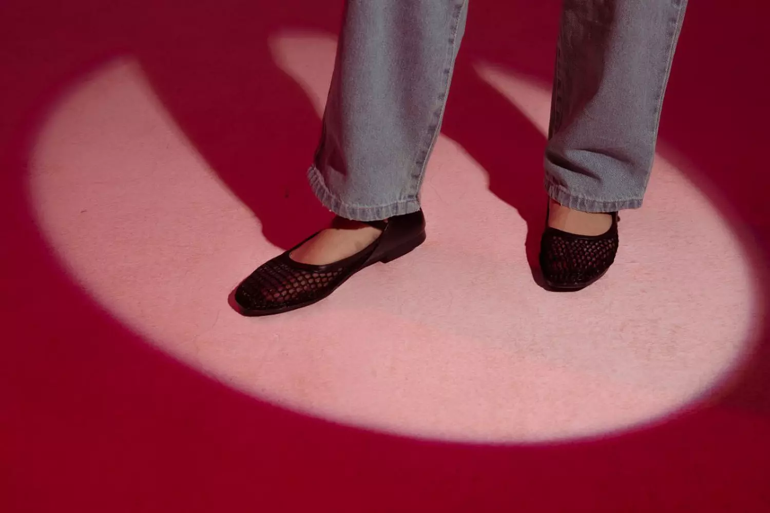 Swan Ballerina image