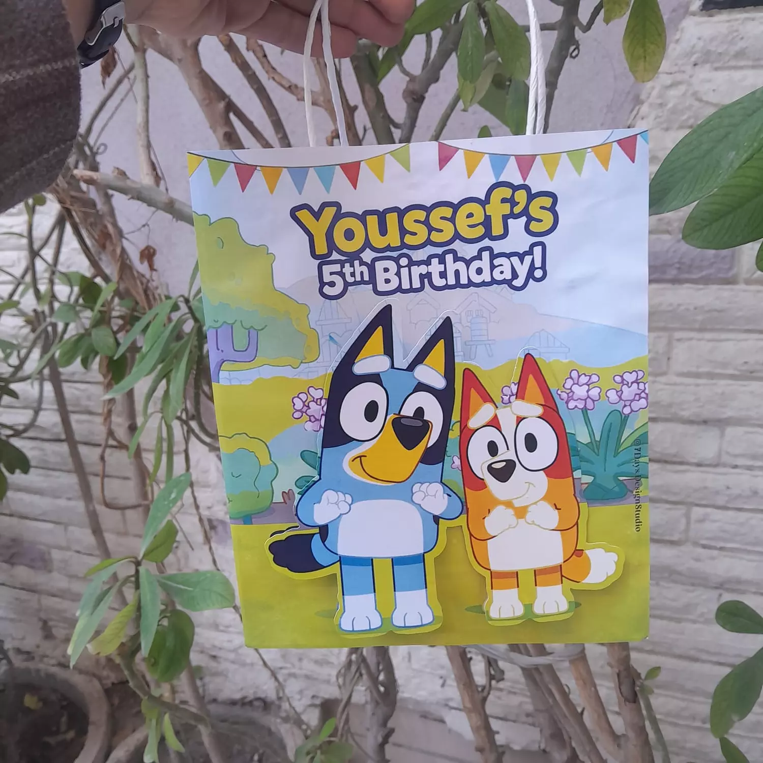 Bluey and Bingo 3 Giveaways 1