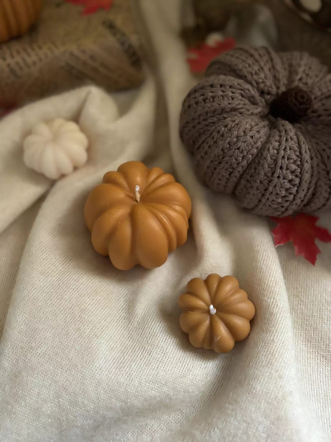  Medium pumpkin  1