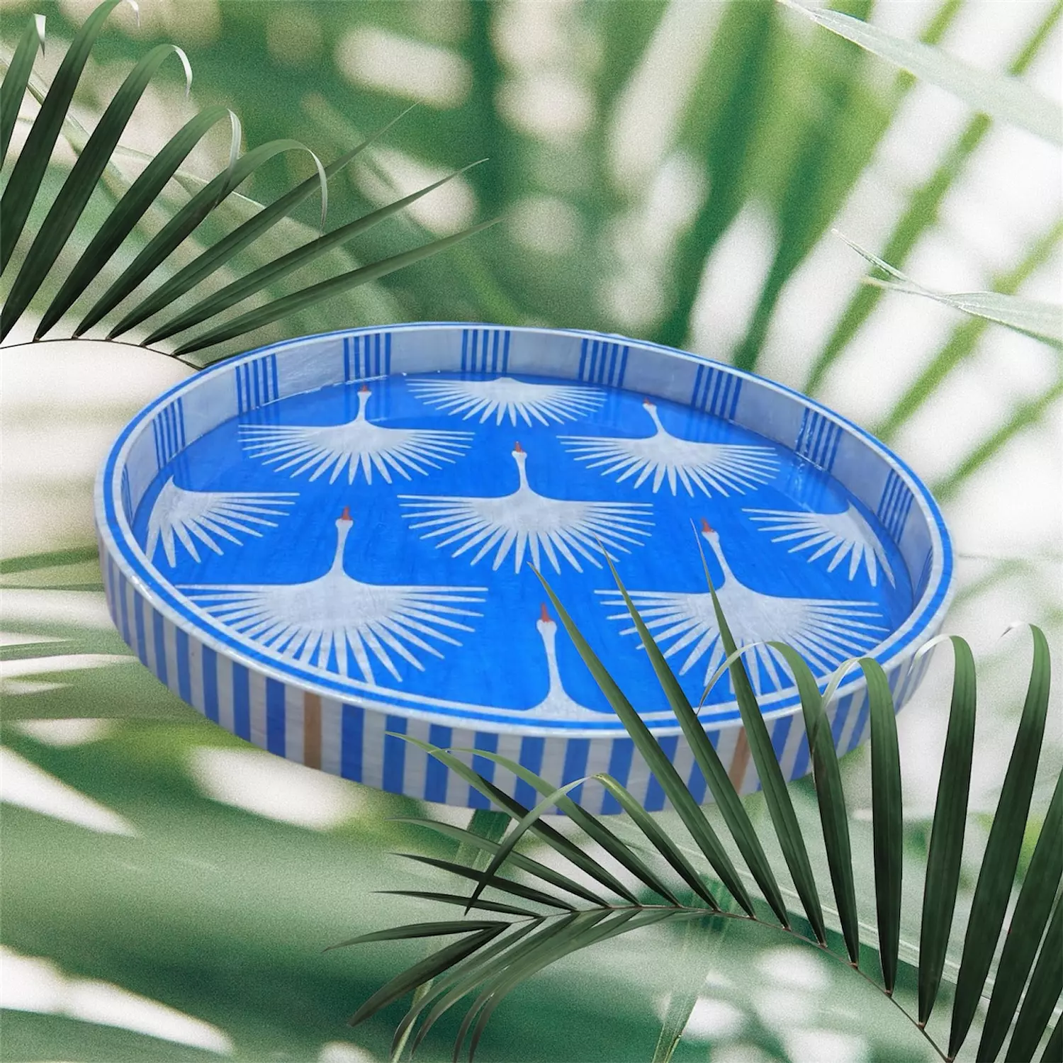 TRAY 6