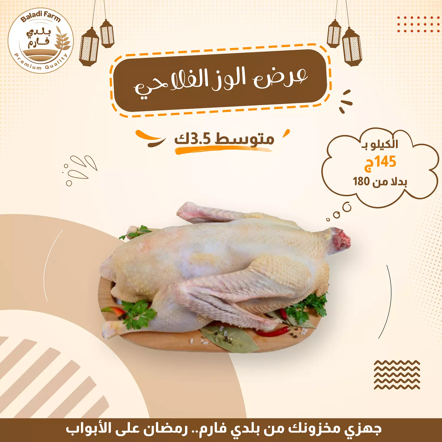 وز بلدي  image