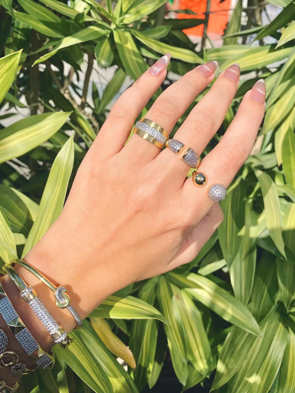 Classy rings image