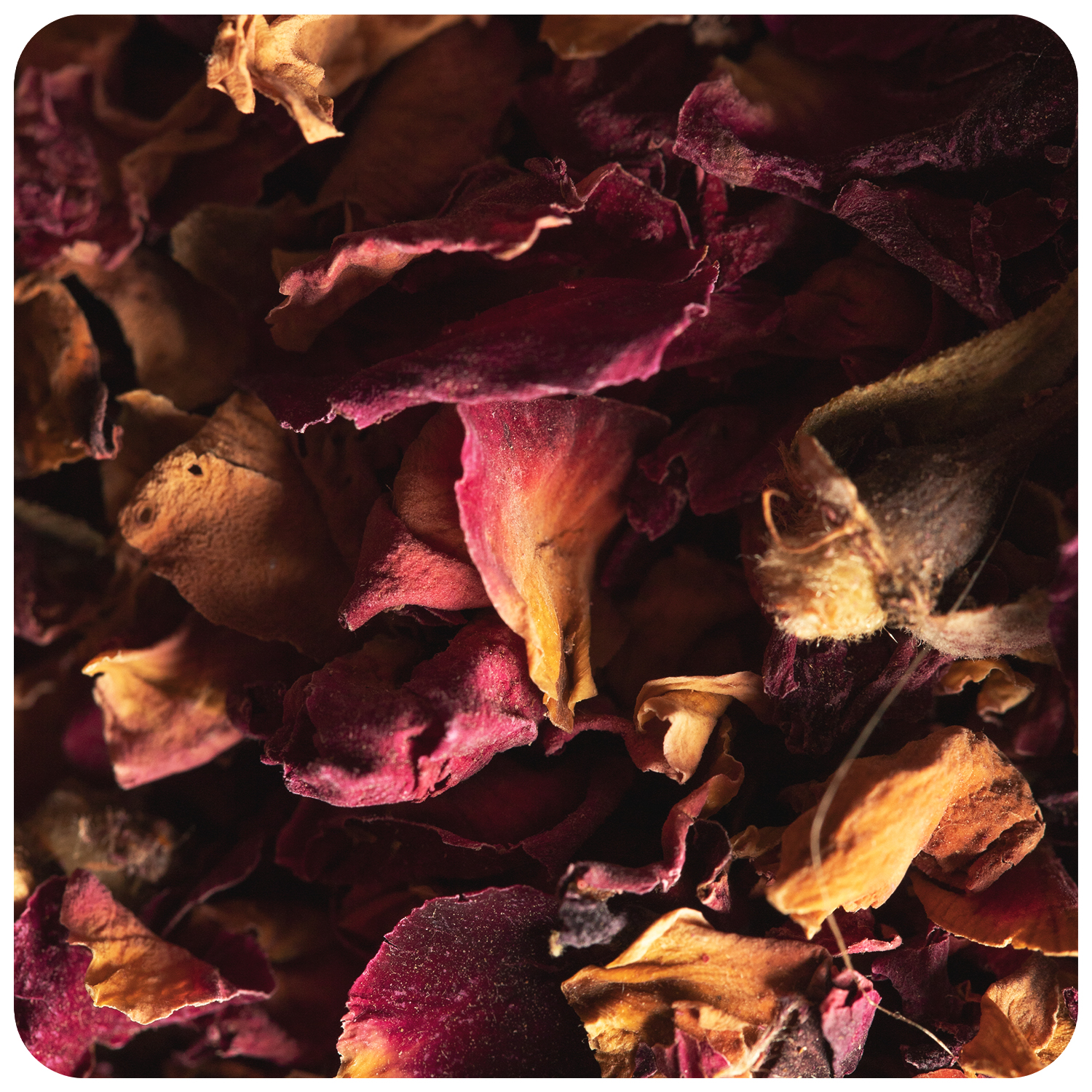 Dried Flowers  (60 gm) 2