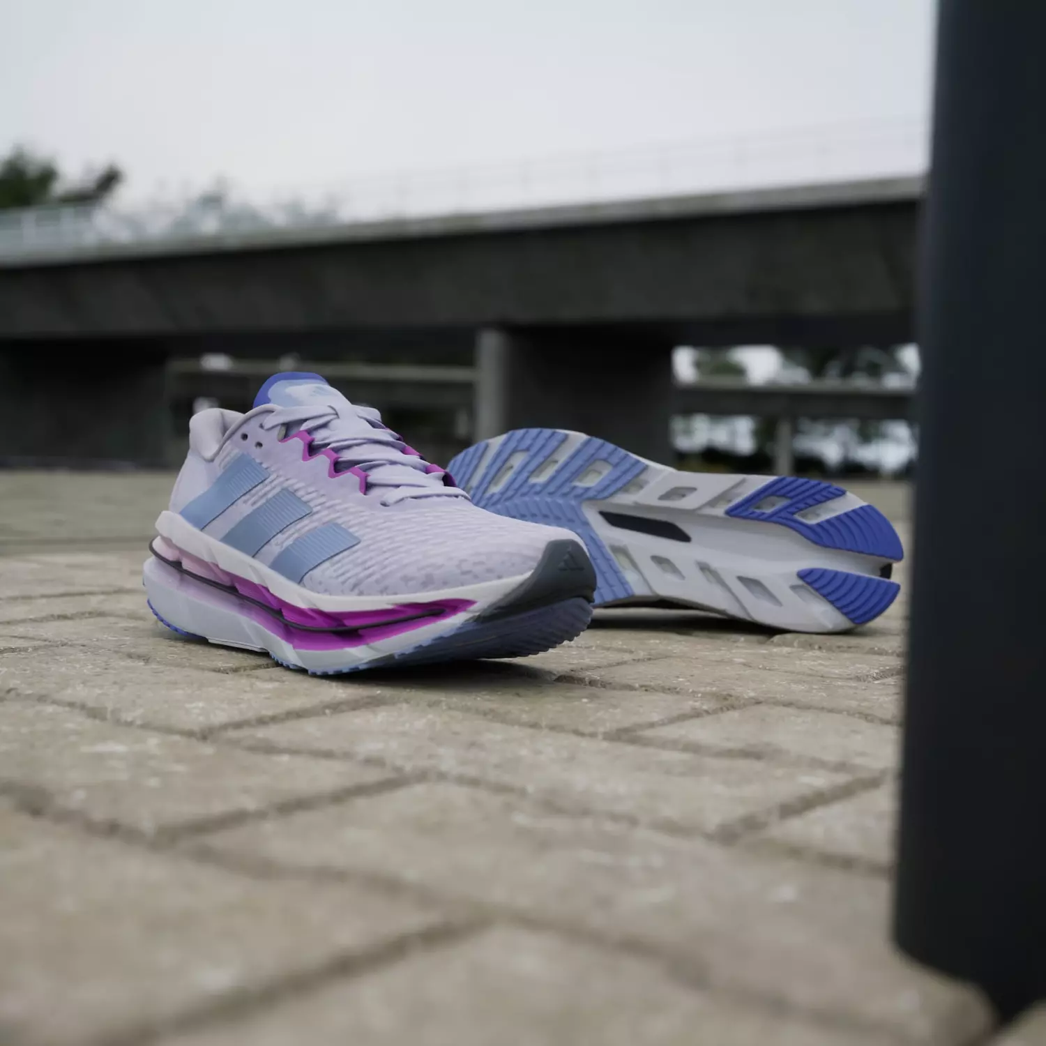 Adidas Adistar Byd Purple  2