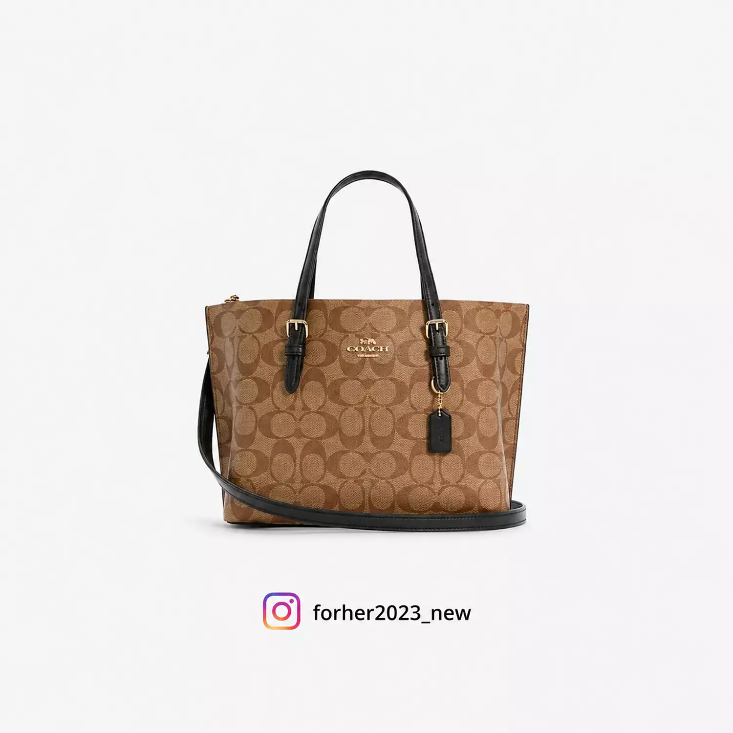 Coach Mollie Tote Bag In Signature Canvas image