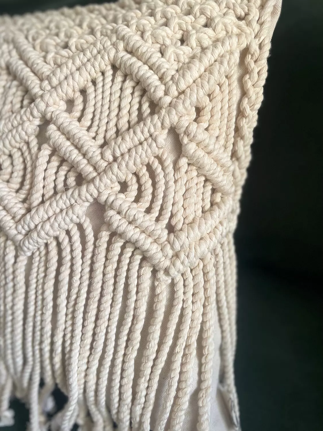 Wings Cotton Macrame Cushion      3