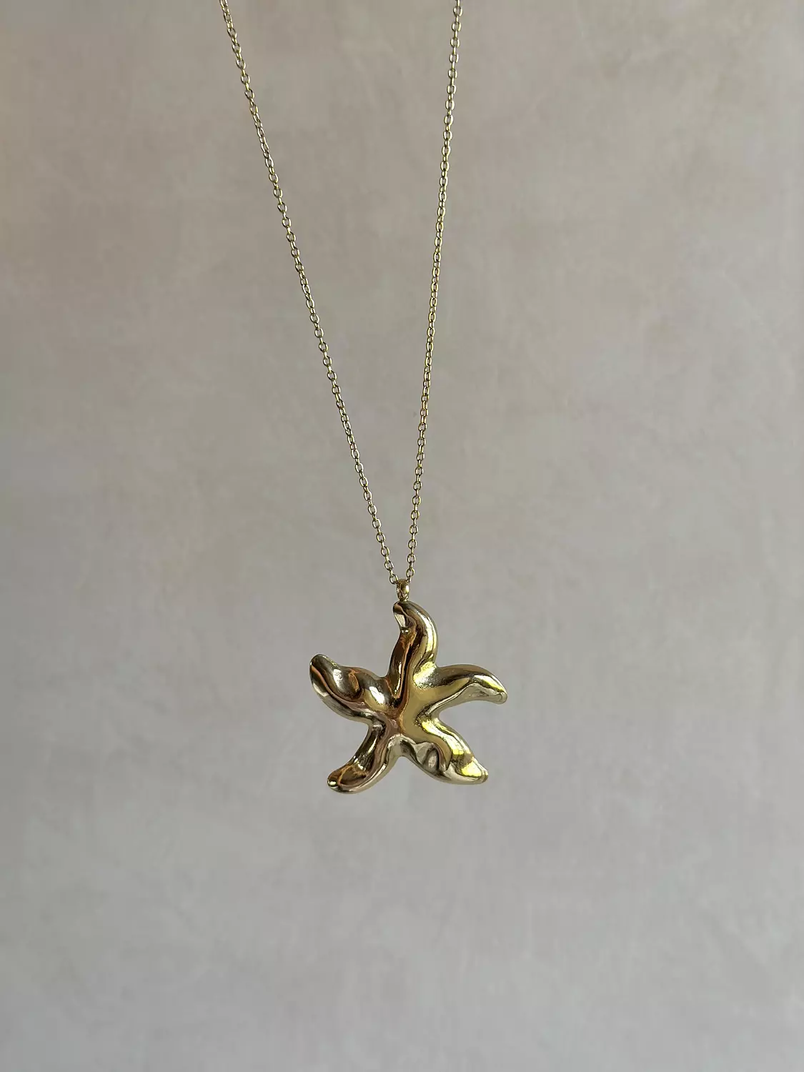 Chunky Star Necklace  image