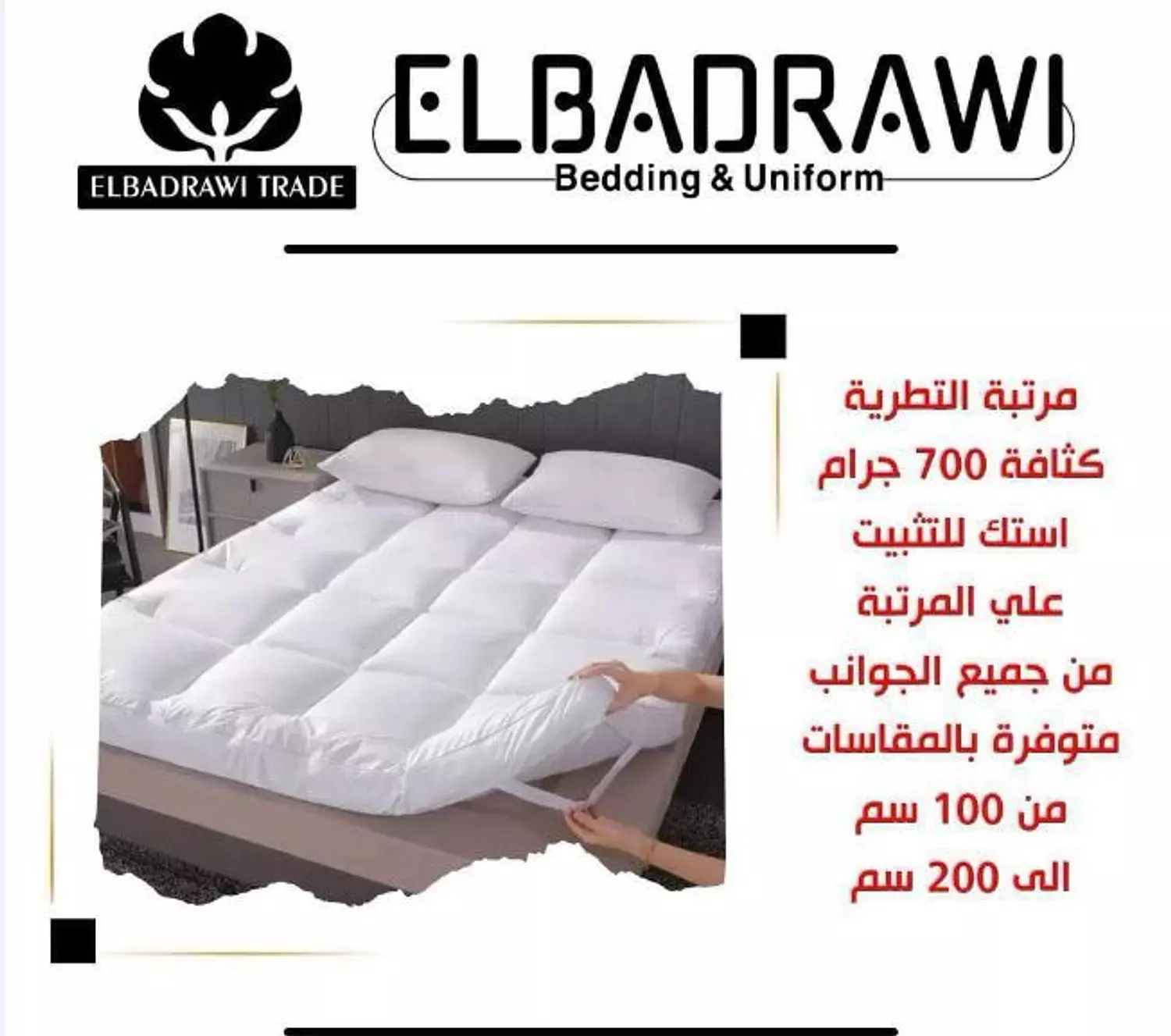 Stroke of February 160 cm 7 cm 2