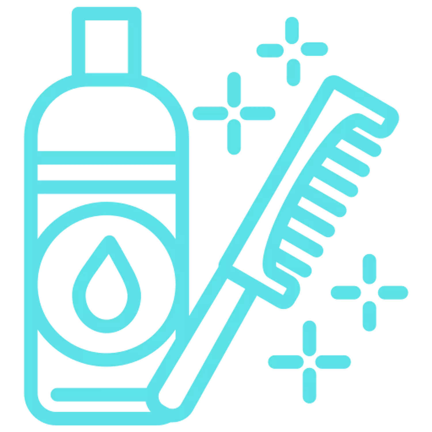 <h4><span style="color: #000000ff">HAIR CARE</span></h4>