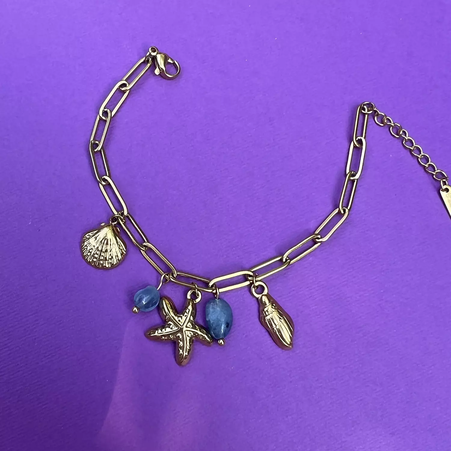Blue Seashells Charm bracelet  image