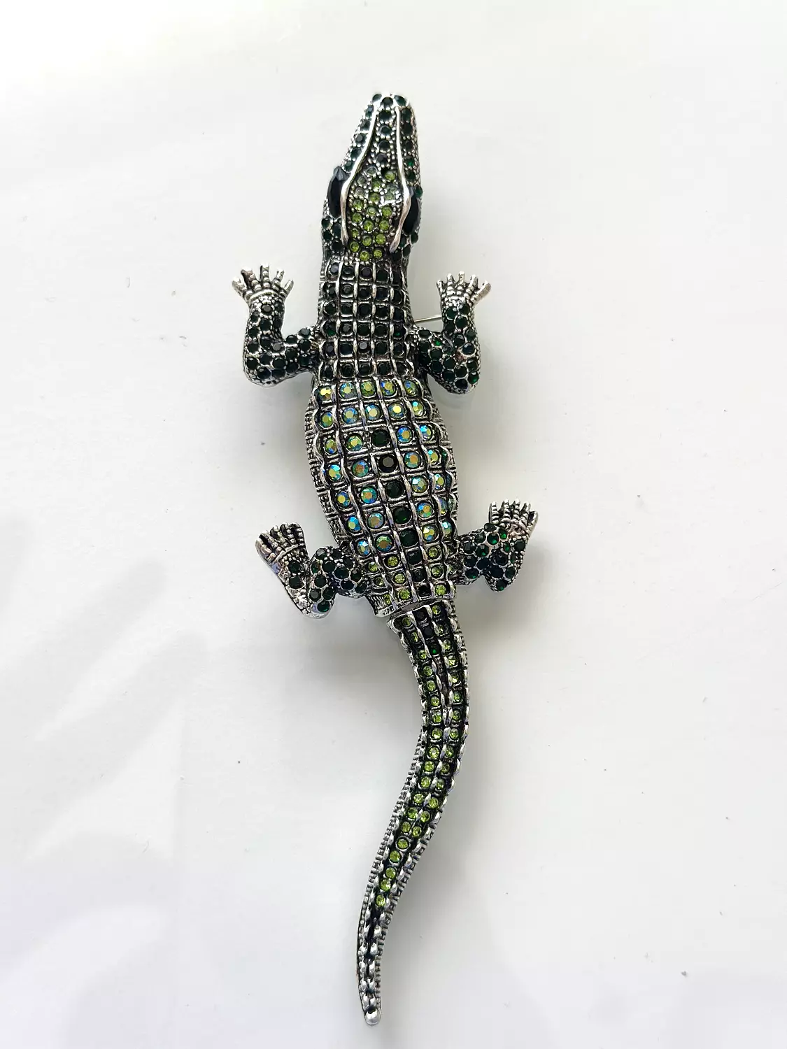crocodile 1
