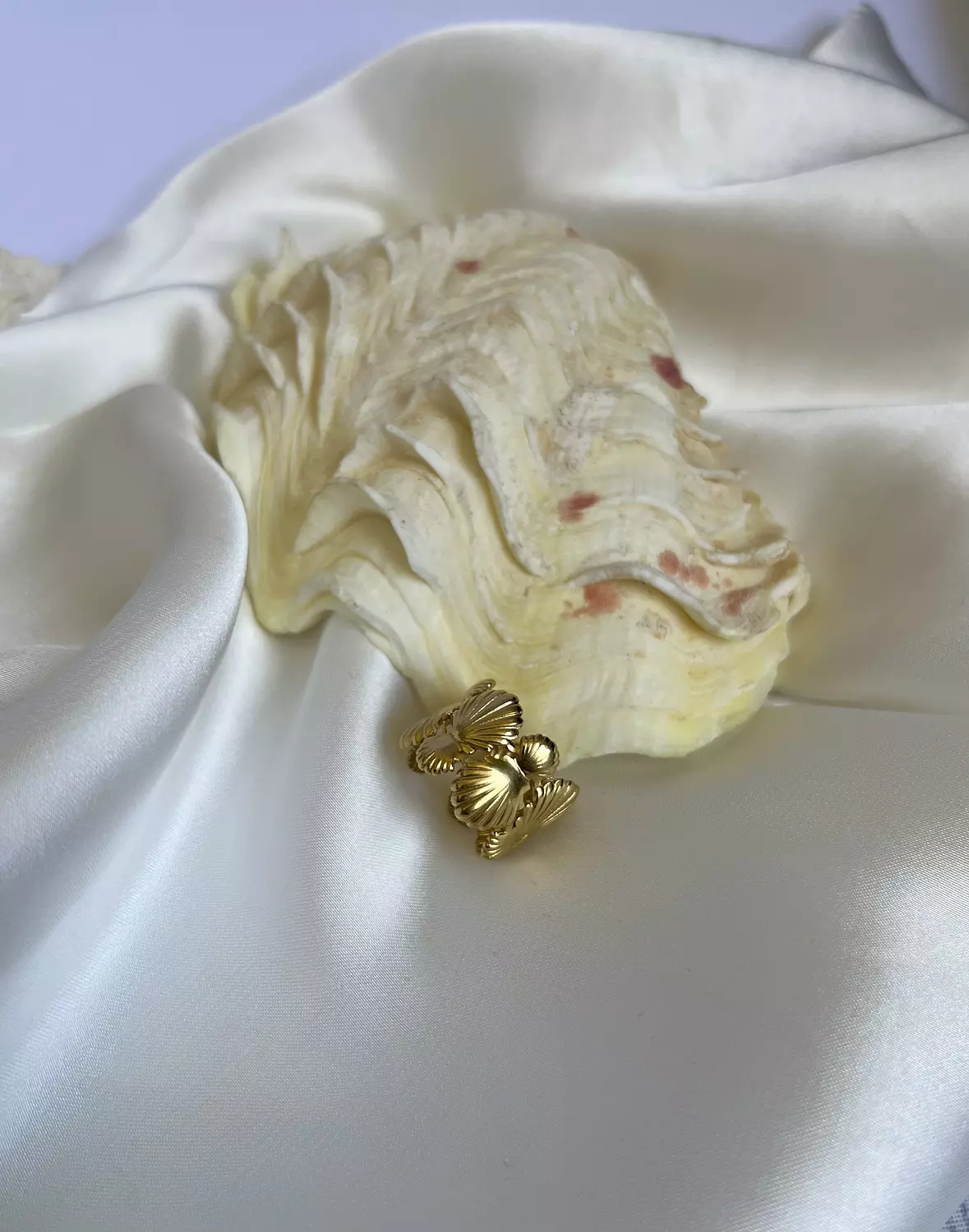 Ariel ring image