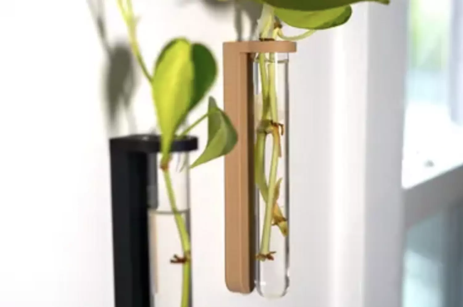 Test Tube Propagation Mount - Inverted image