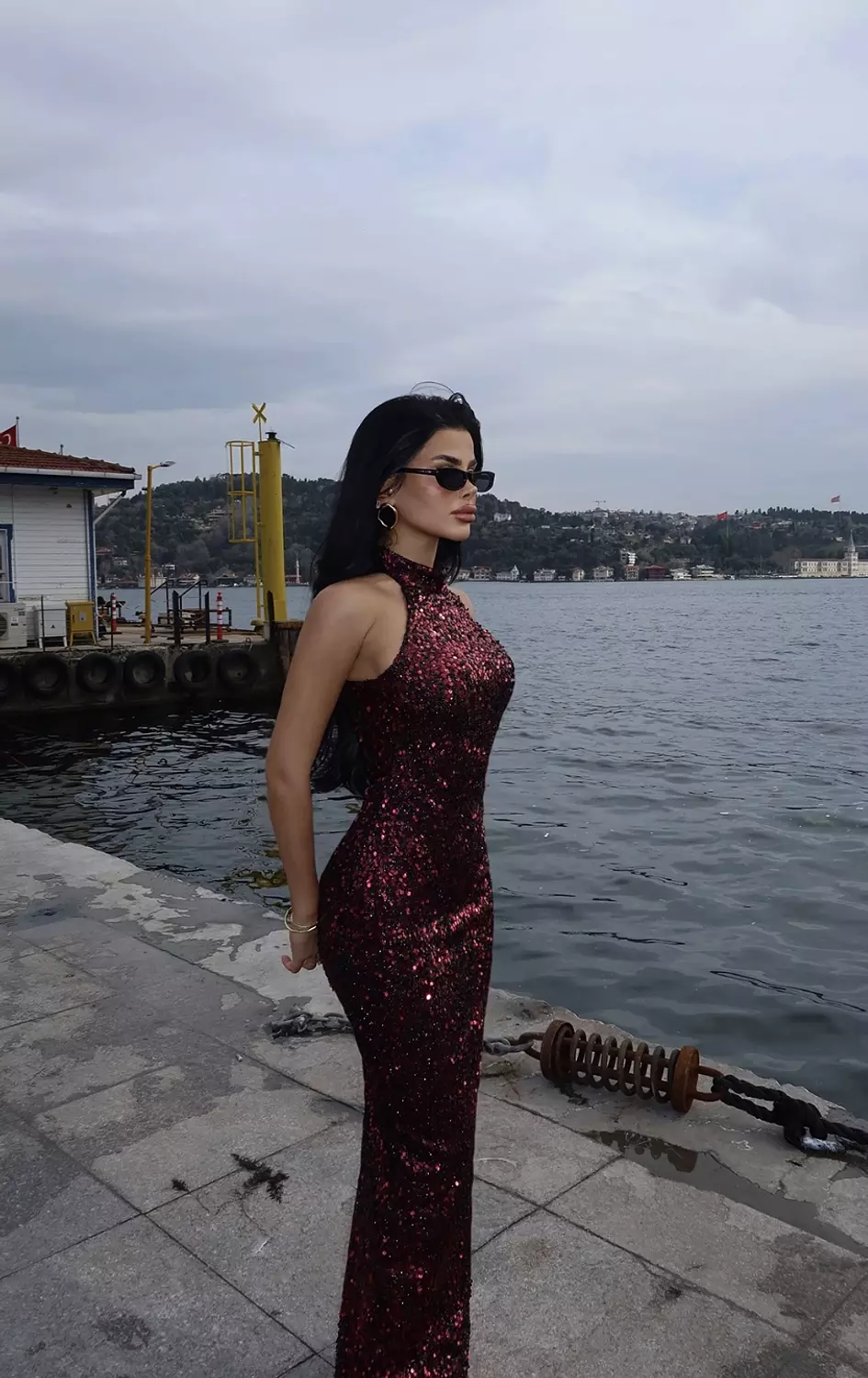 Sequined Dress 4