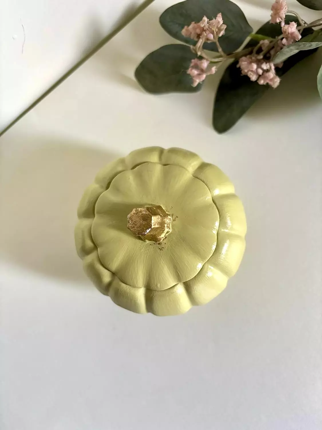 Pumpkin  10