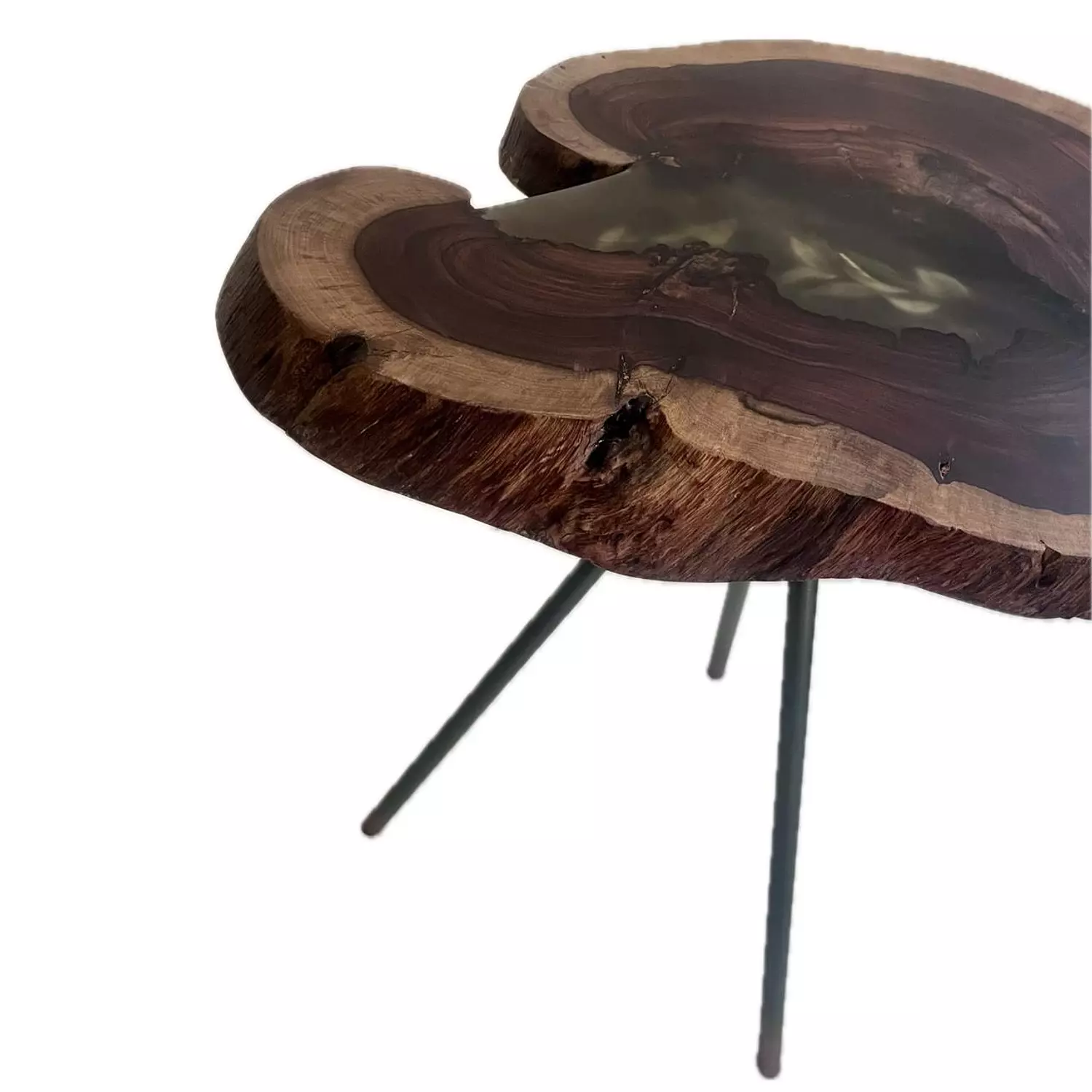 Tree Log- Natural Leaves Side Table  4