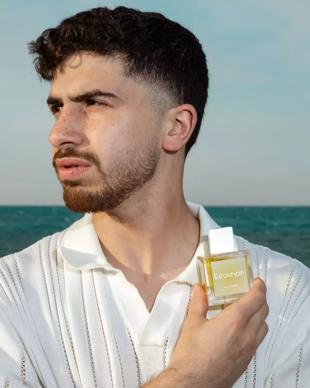 <p><strong><br>MALES PERFUMES </strong></p>