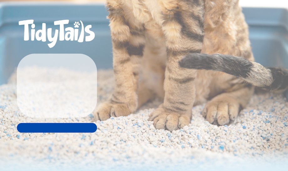 banner image for Tailsco