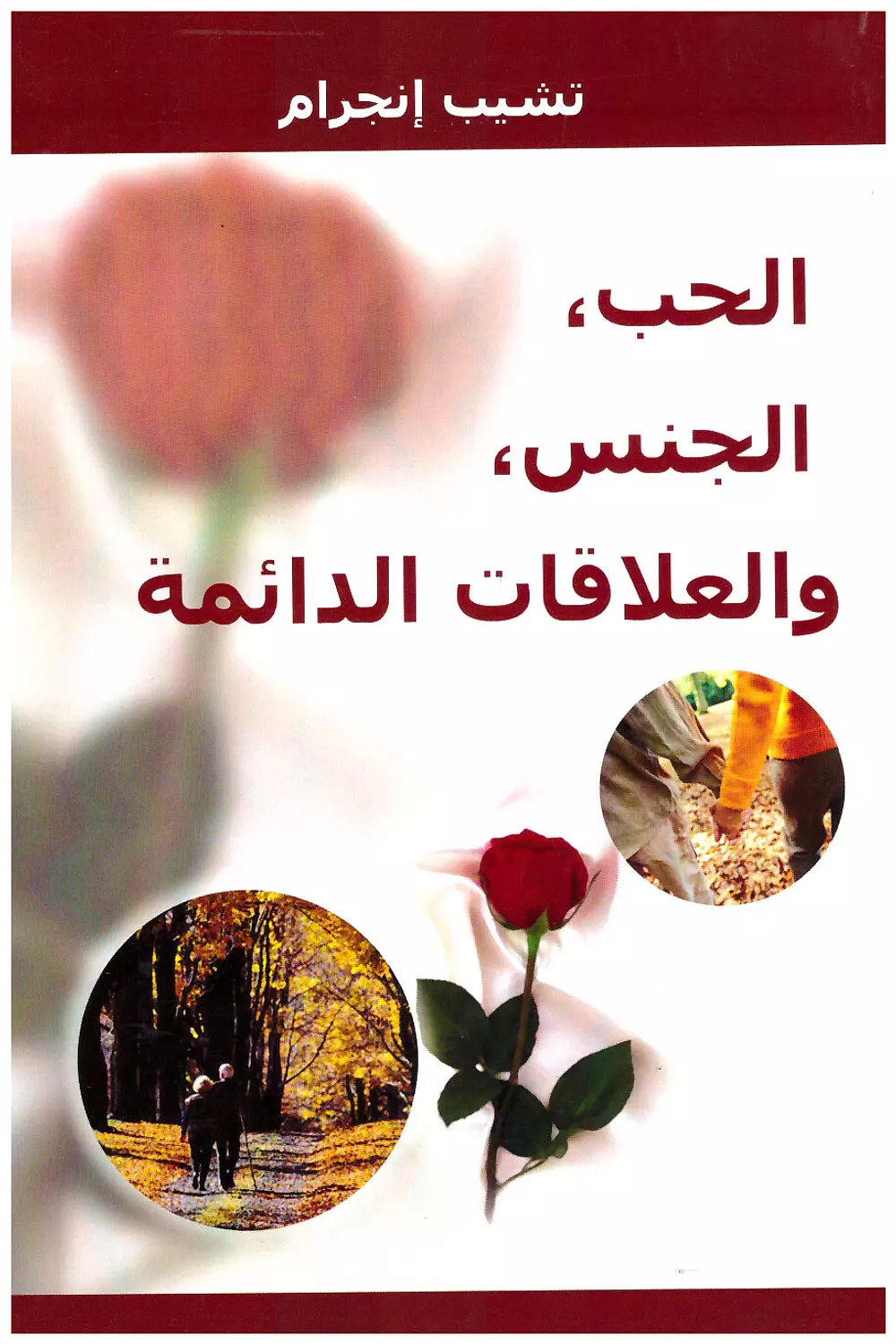 الحب والجنس والعلاقات الدائمة image