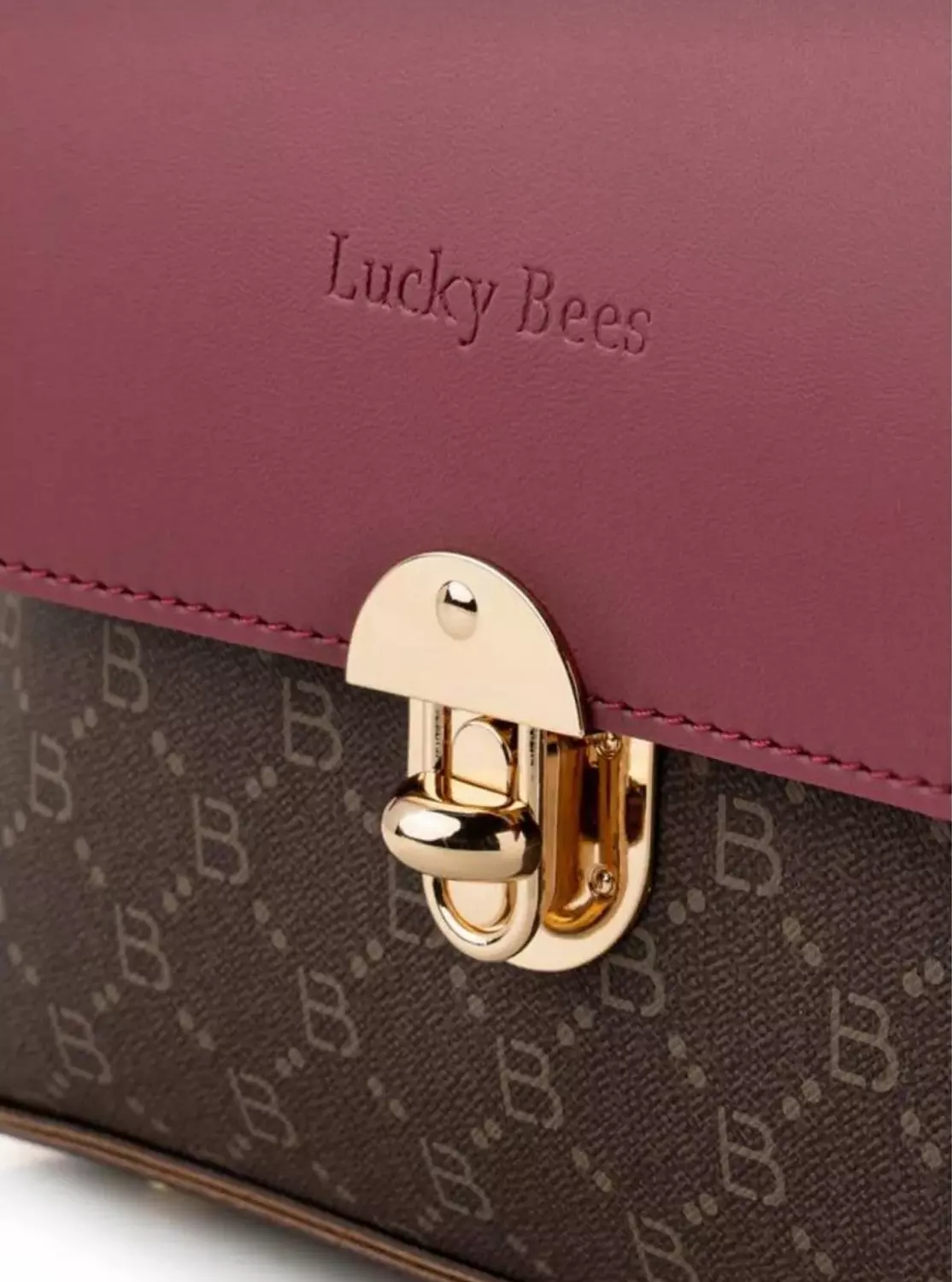 Burgundy & Brown Signature Bag 3