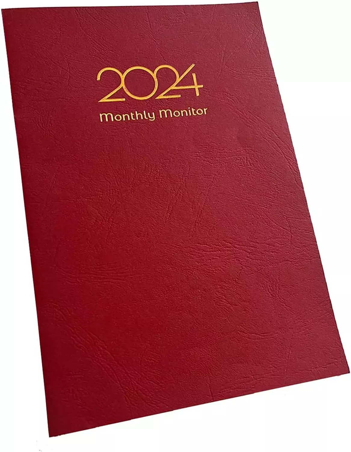 Memo Monthly Monitor 2024 6