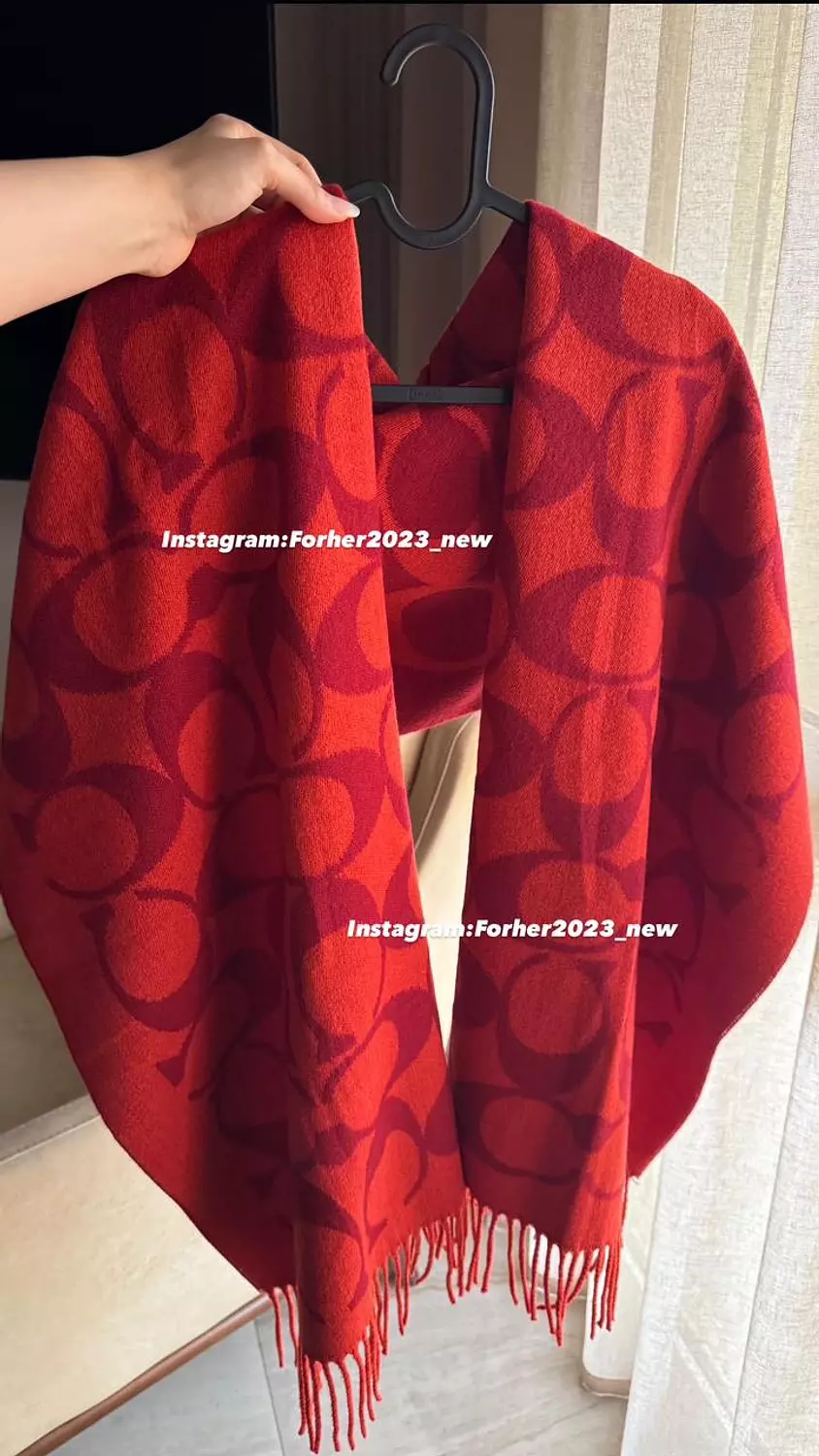 Red coach scarf image