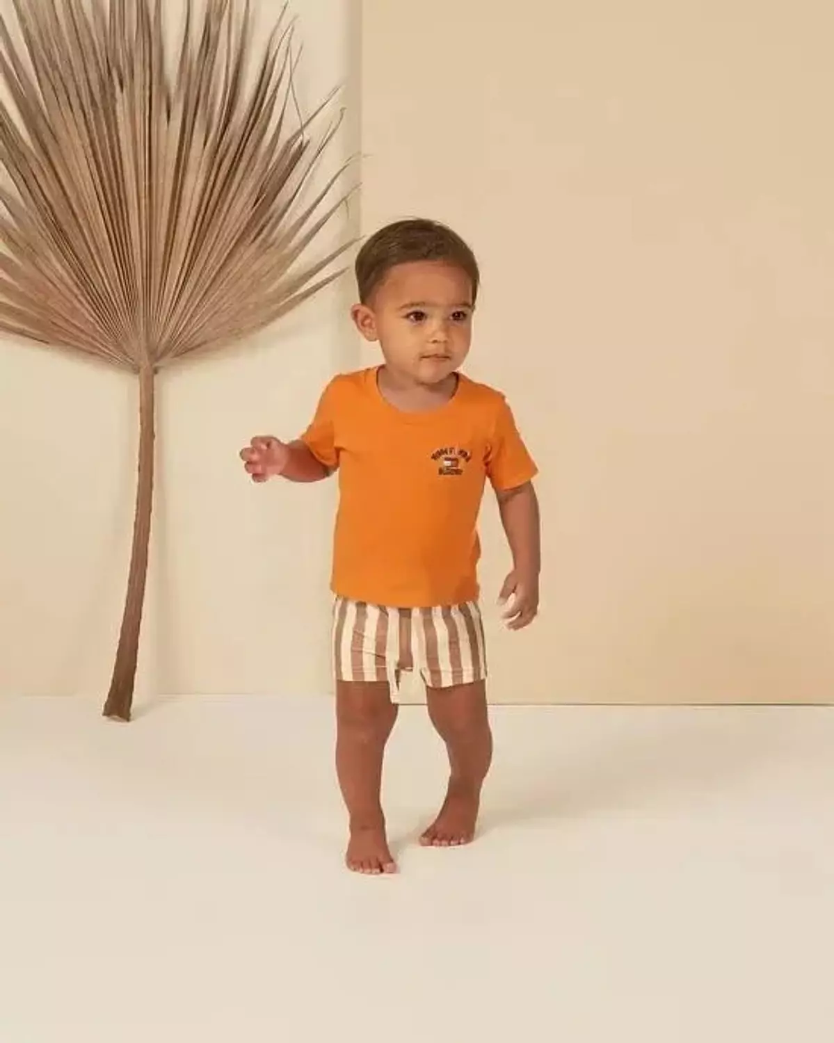 Basic polo  image
