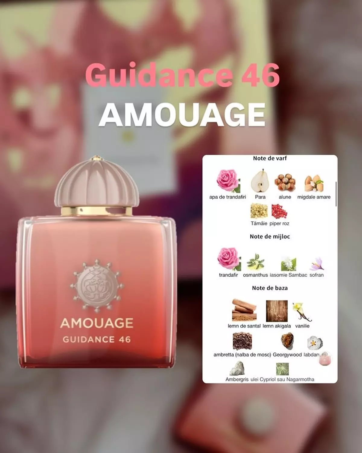 Amouage Guidance 46 2