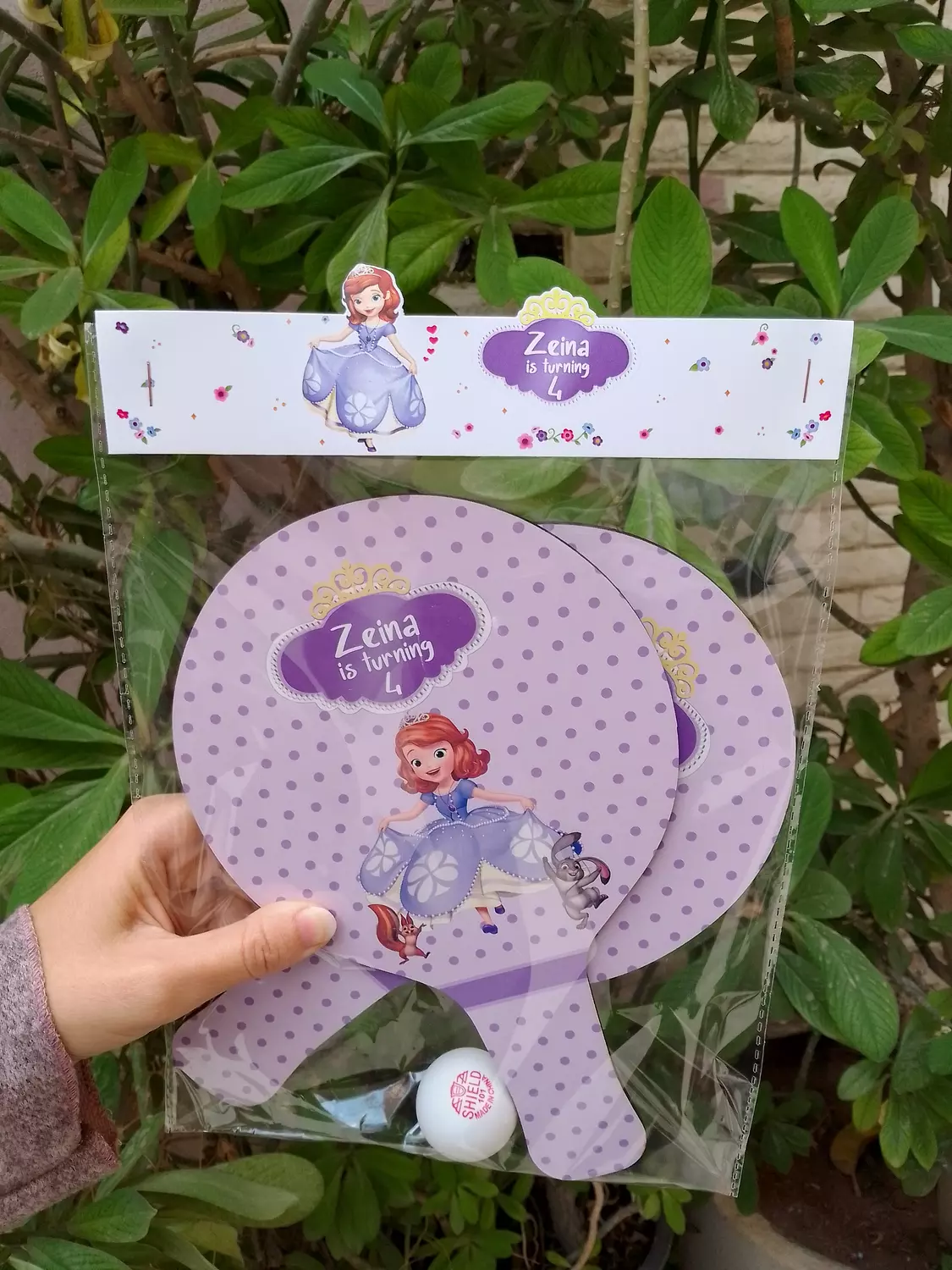 Princess Sofia Ping Pong image