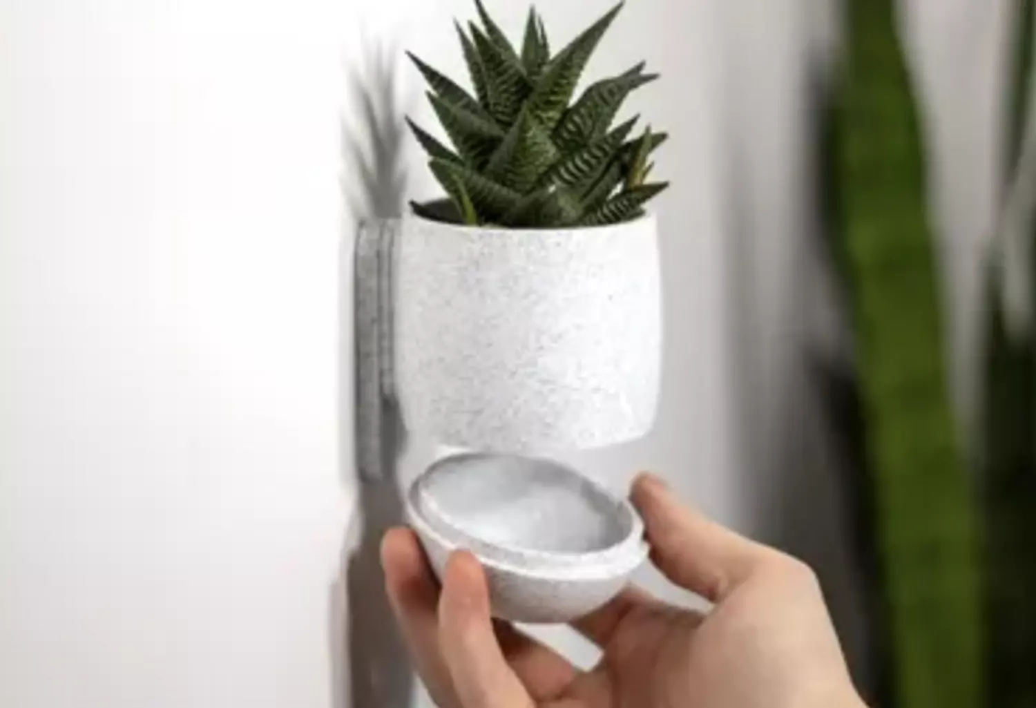 Simple Cup Planter hover image