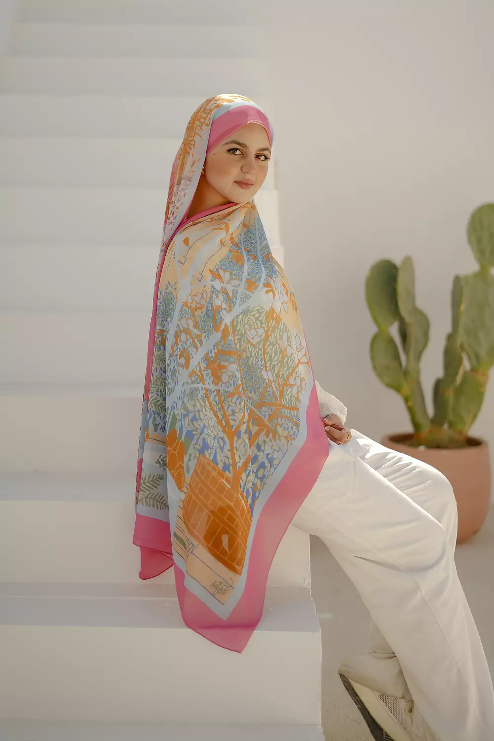 Blush Canopy image