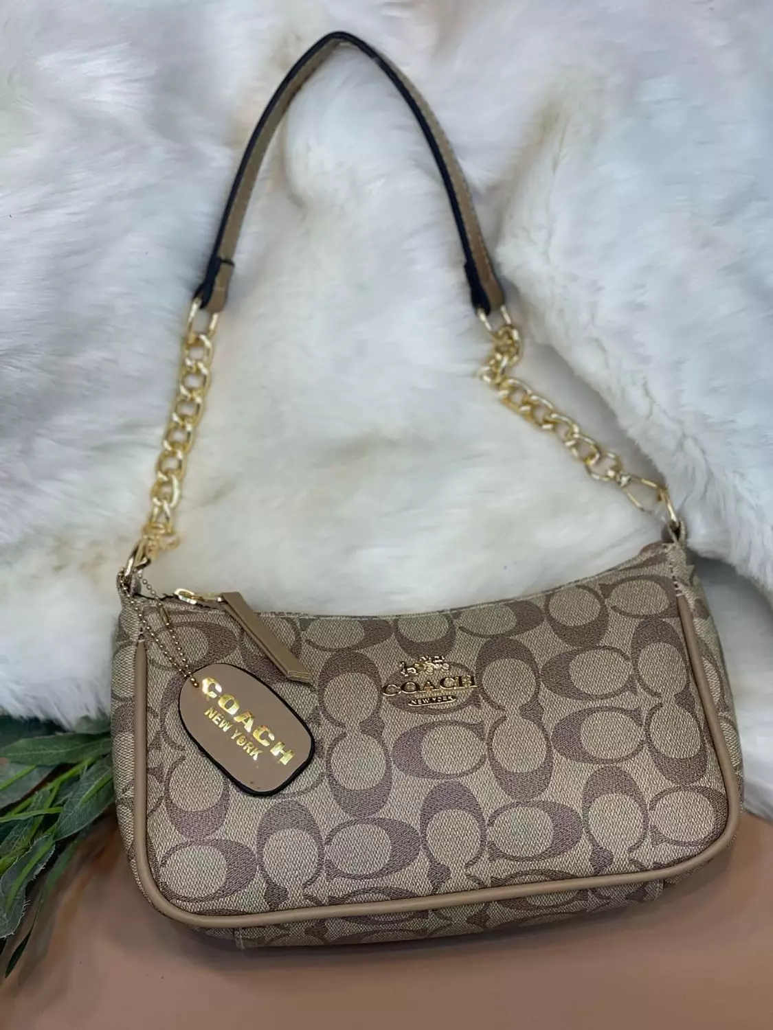 COACH Bag image