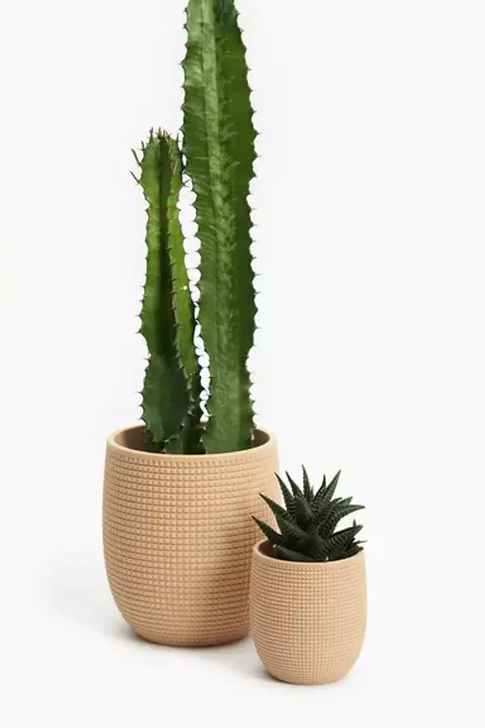 Grid planter image