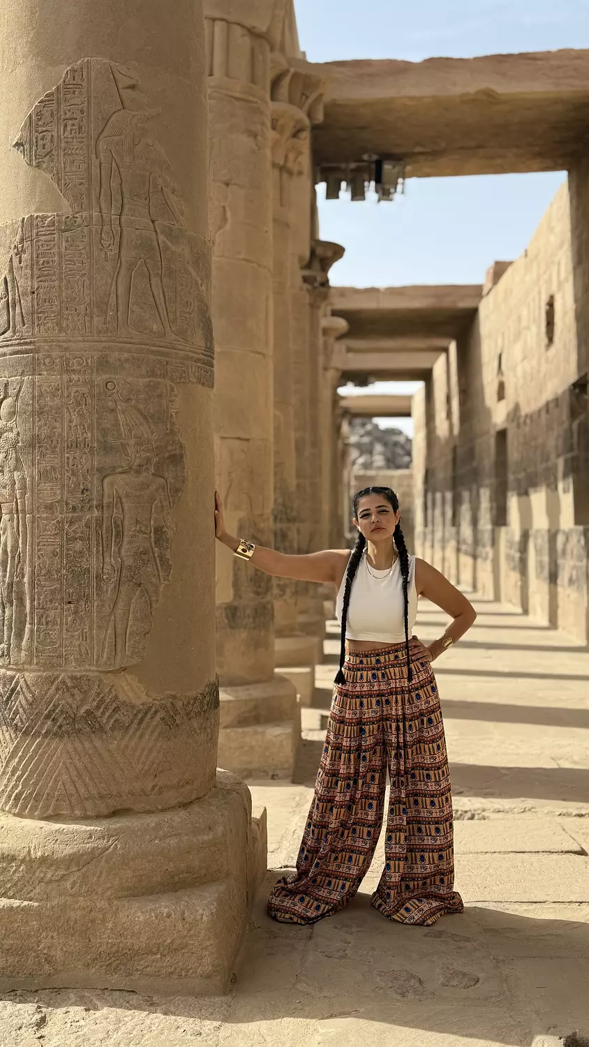 Scarab Pants  image