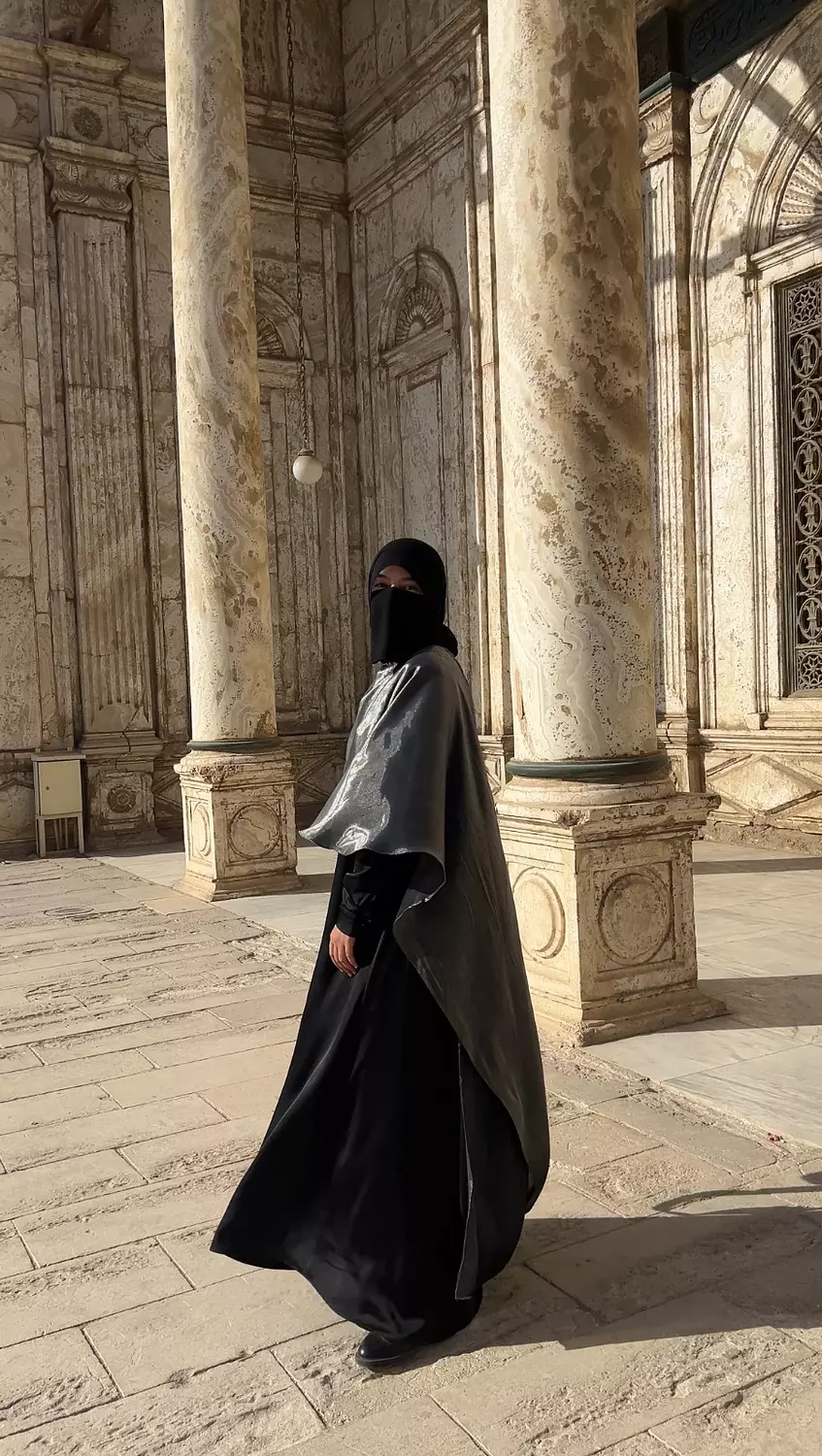 Shiny Lavish Dress in gray 045 4