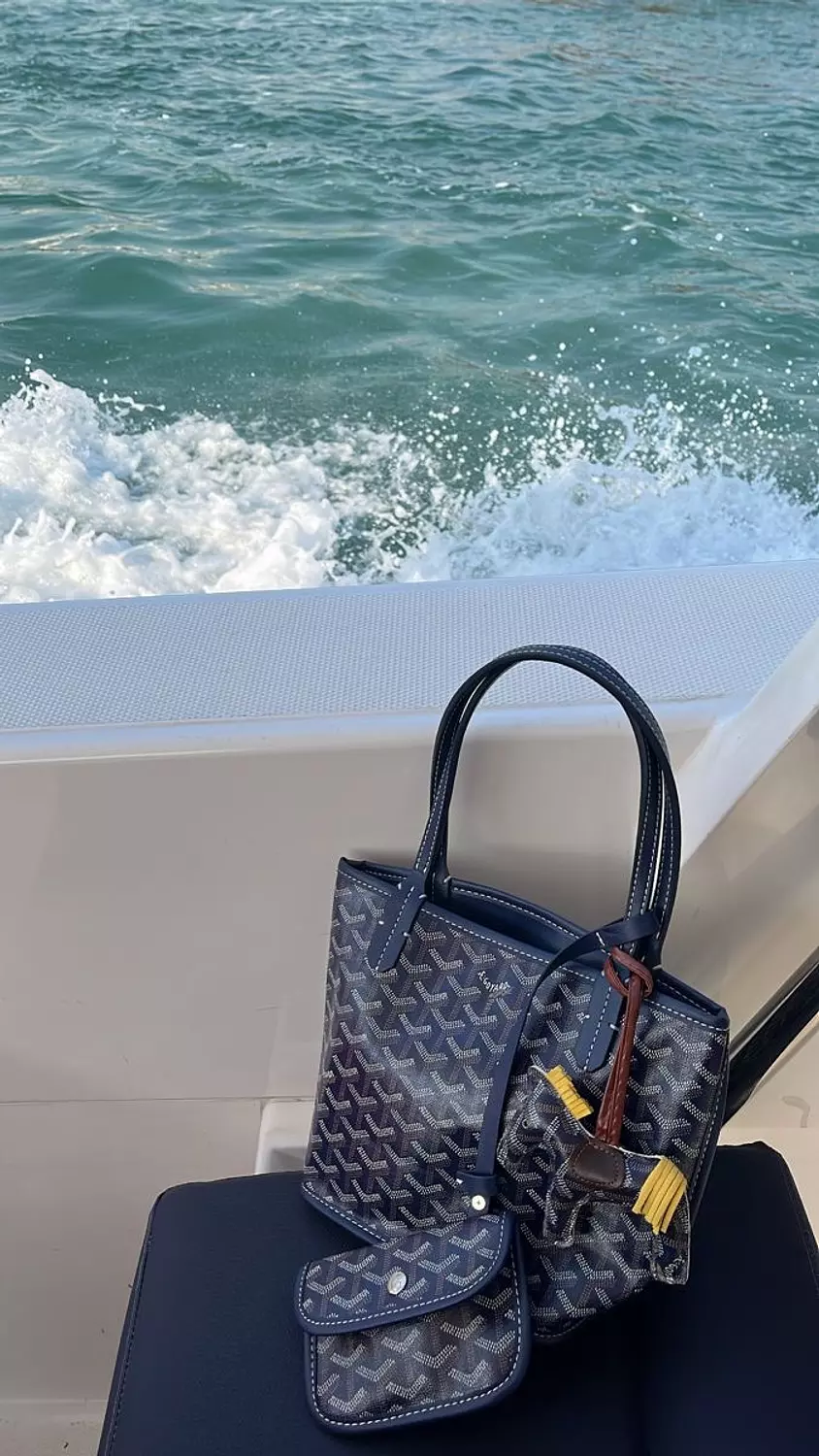 GOYARD ANJOU BAG 1