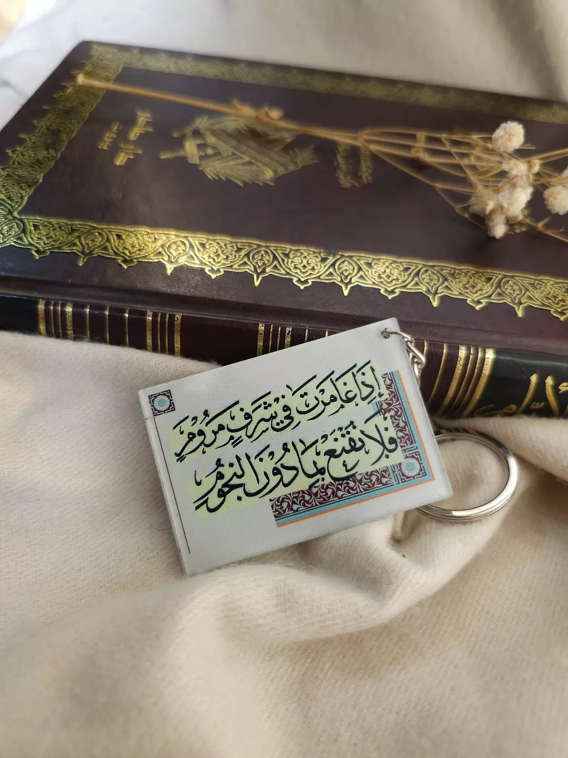 إذا غامرت في شرف مروم/ميدالية image