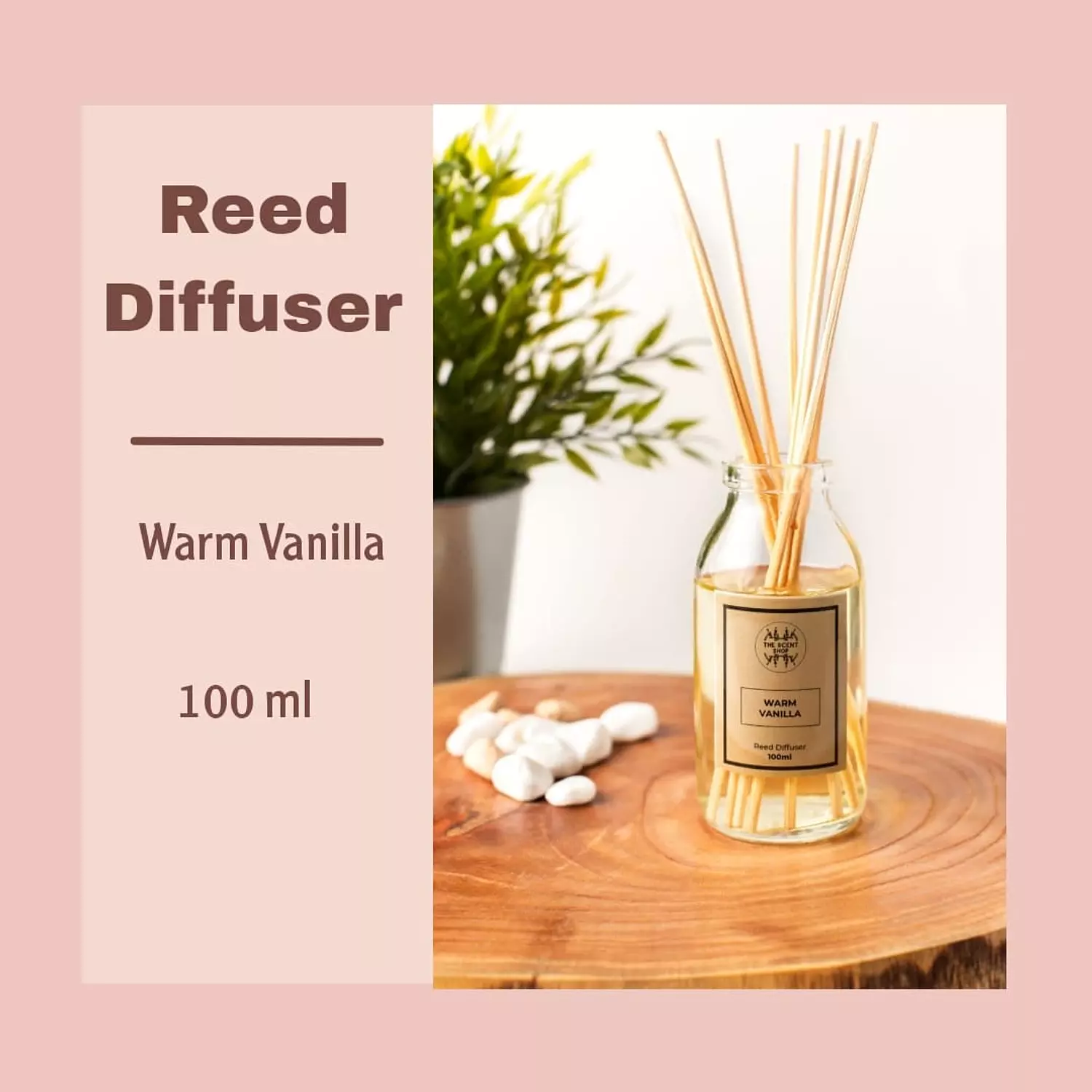 Warm vanilla scent 