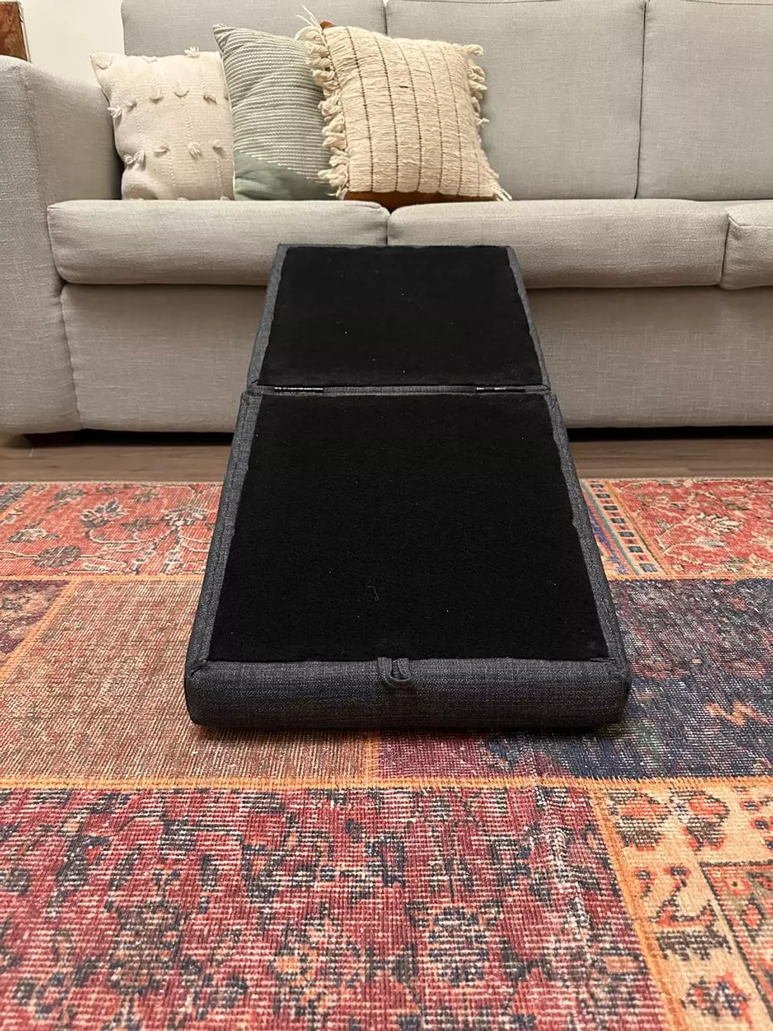 Ottopaw ramp 1