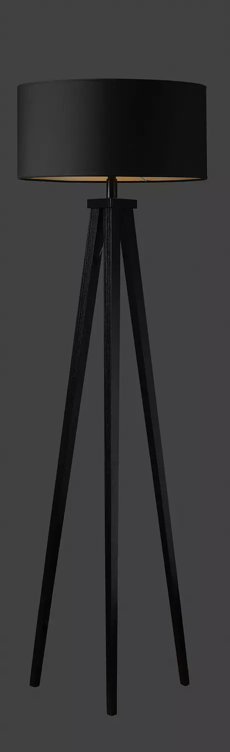 Alexa Floor Lamp 1