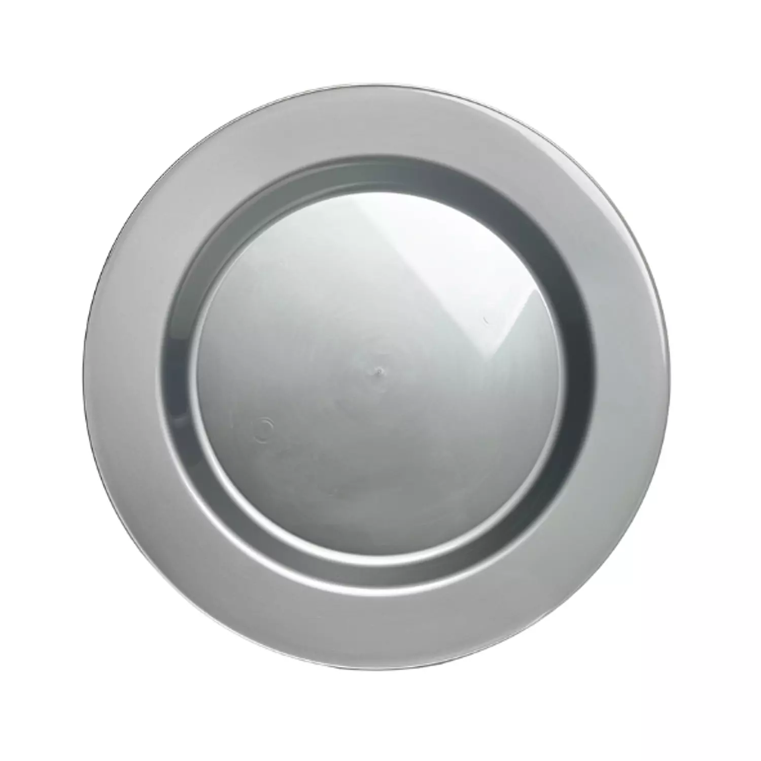 Silver Plastic Plates