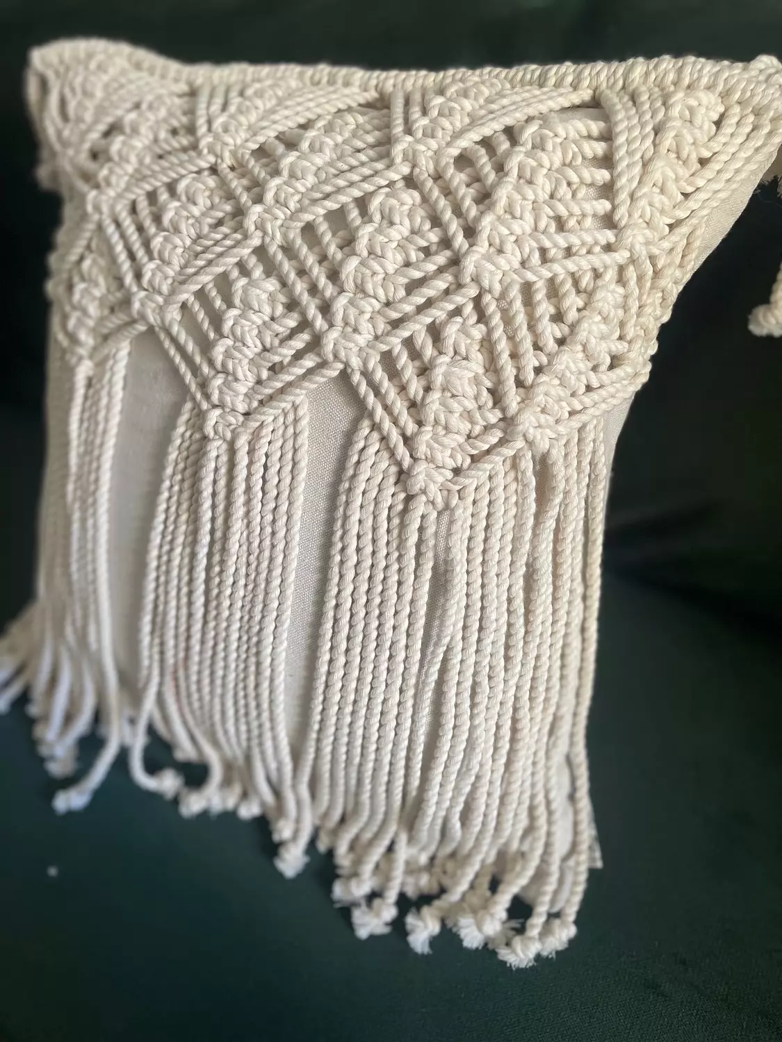 Spike Cotton Macrame Cushion      2